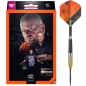 Preview: RAYMOND VAN BARNEVELD GEN 4  21G